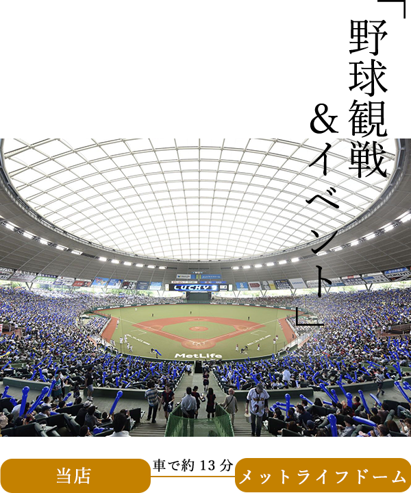 野球観戦&イベント